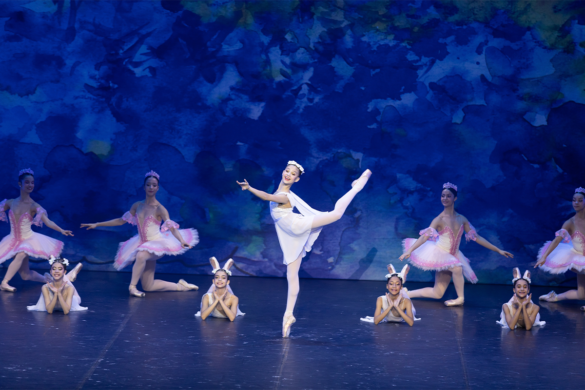 Gala Bolshoi em Joinville